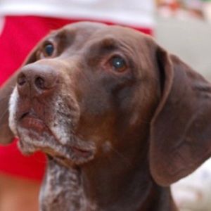 Meet your Posher, Morgan